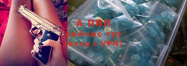 стафф Абинск