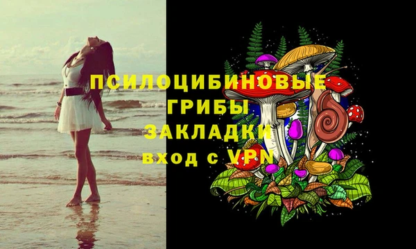 стафф Абинск