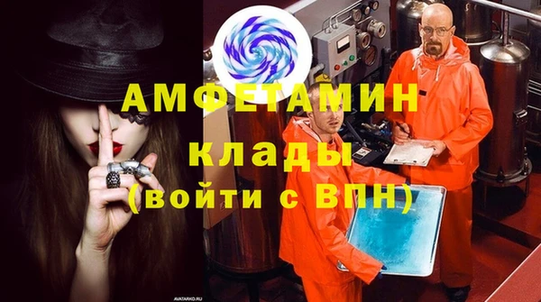 хмурый Алексин