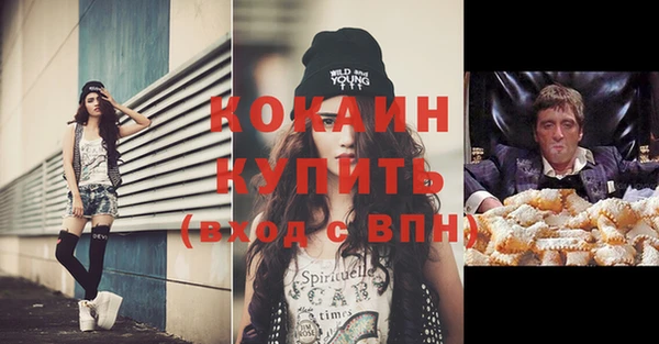 хмурый Алексин