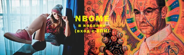 хмурый Алексин
