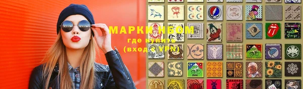 хмурый Алексин