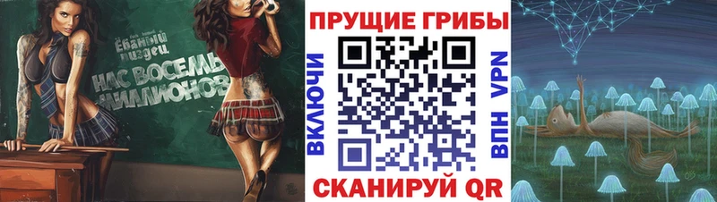 МЕГА ССЫЛКА  Отрадное  Псилоцибиновые грибы Cubensis 