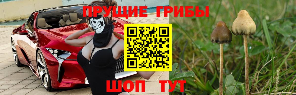 АМФЕТАМИН Отрадное